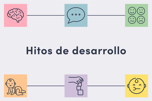 Hitos de desarrollo