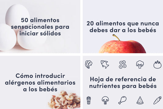 Paquete básico de primeros alimentos